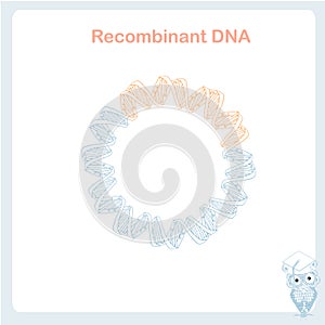 Bacterial plasmid recombinant DNA cloning scheme design element stock vector illustration photo